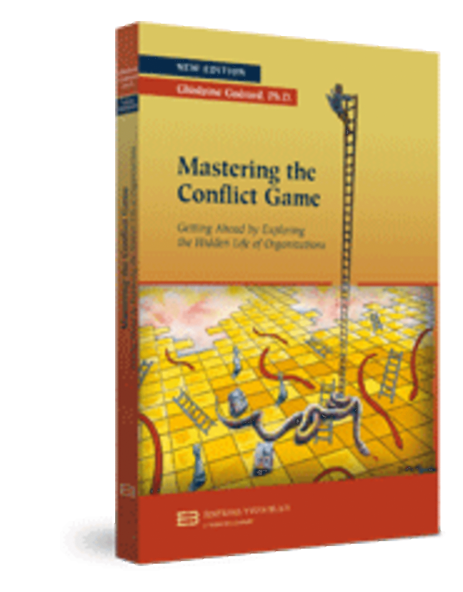 Textbook Mastering the Conflict Game + CD