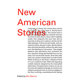 Textbook New American Stories