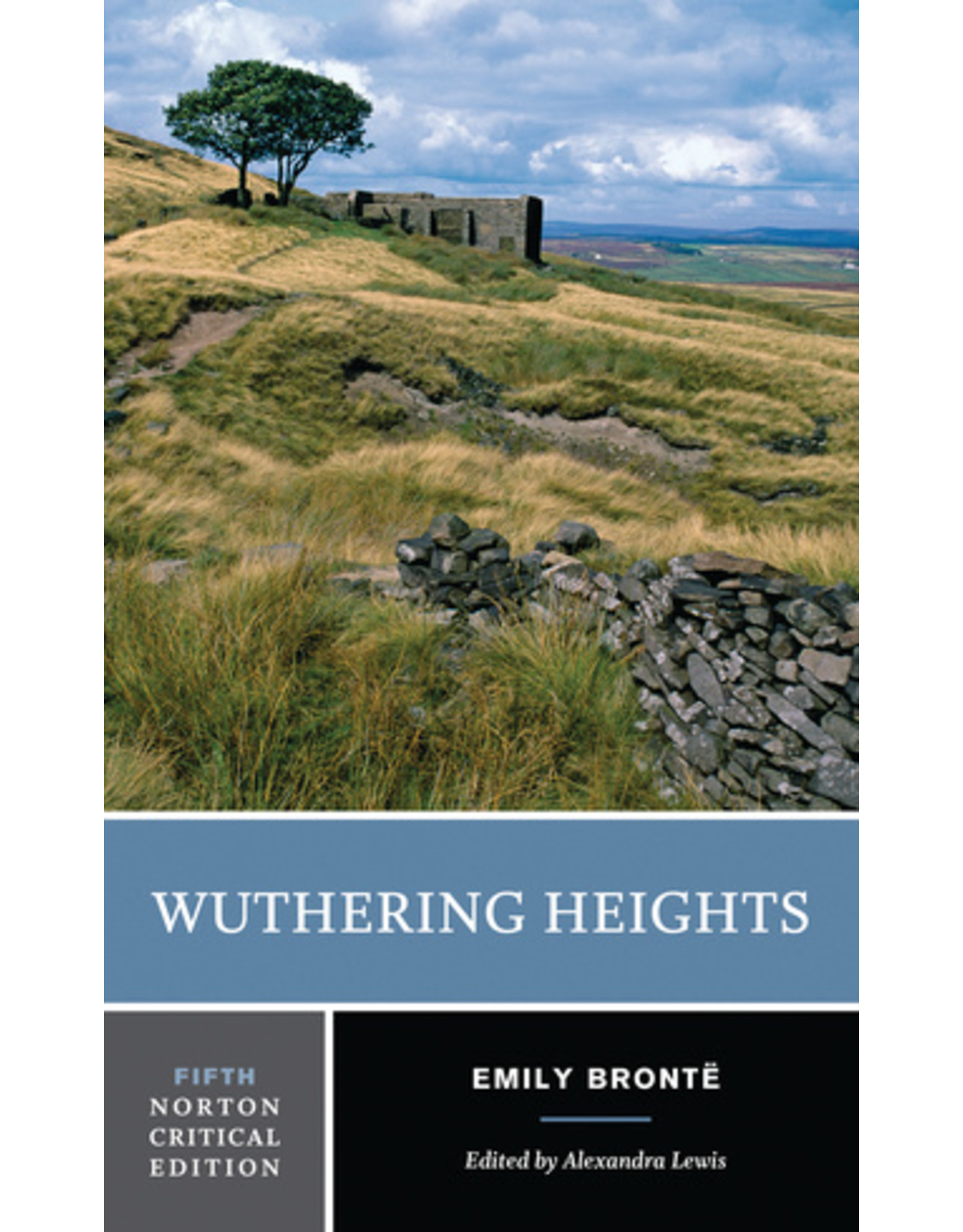 Textbook Wuthering Heights (Fifth Edition): A Norton Critical Edition
