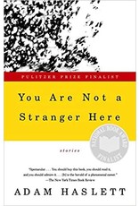Literature You Are Not a Stranger Here