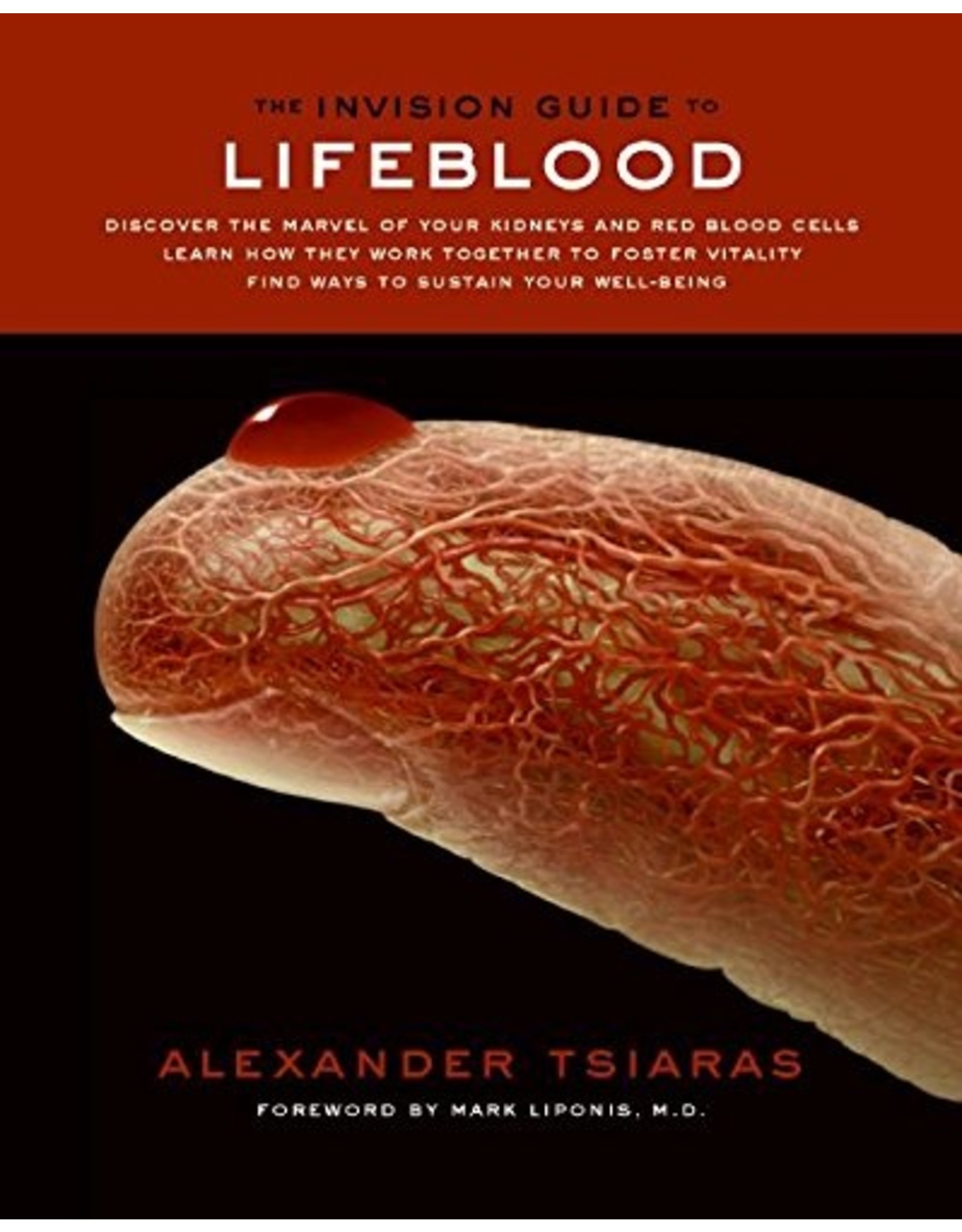 Literature The Invision Guide to Lifeblood