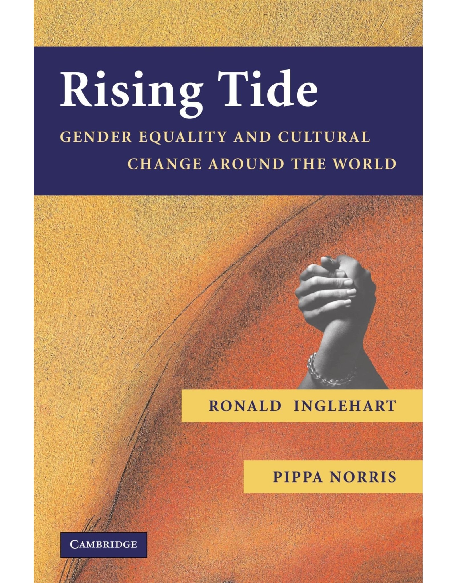 Literature Rising Tide: Gender Equality and Cultural Change Around the World