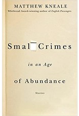 Literature Small Crimes in an Age of Abundance