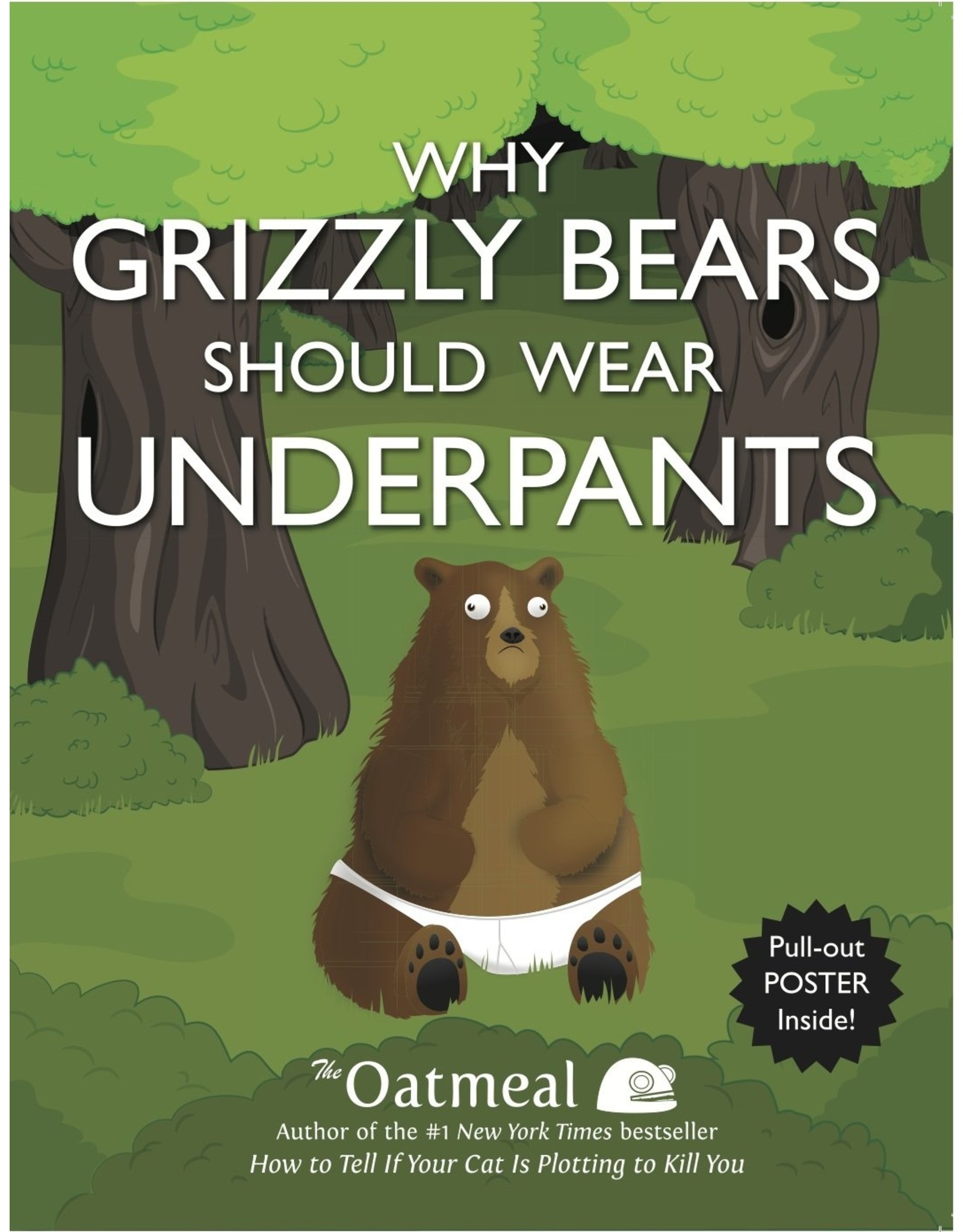 Literature Why Grizzly Bears Should Wear Underpants [With Poster]