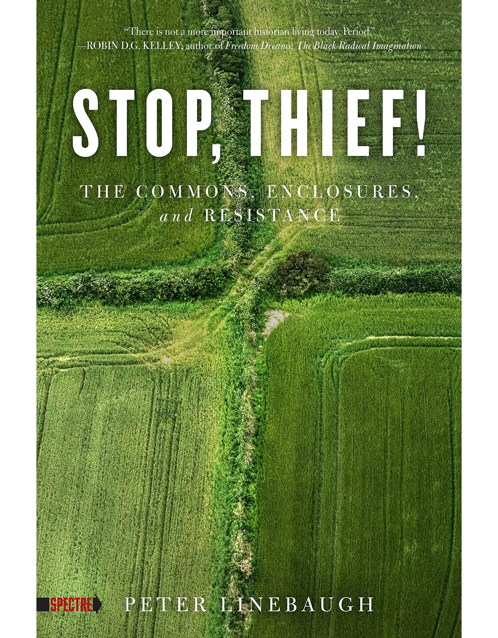 Literature Stop Thief! The Commons, Enclosures, and Resistance