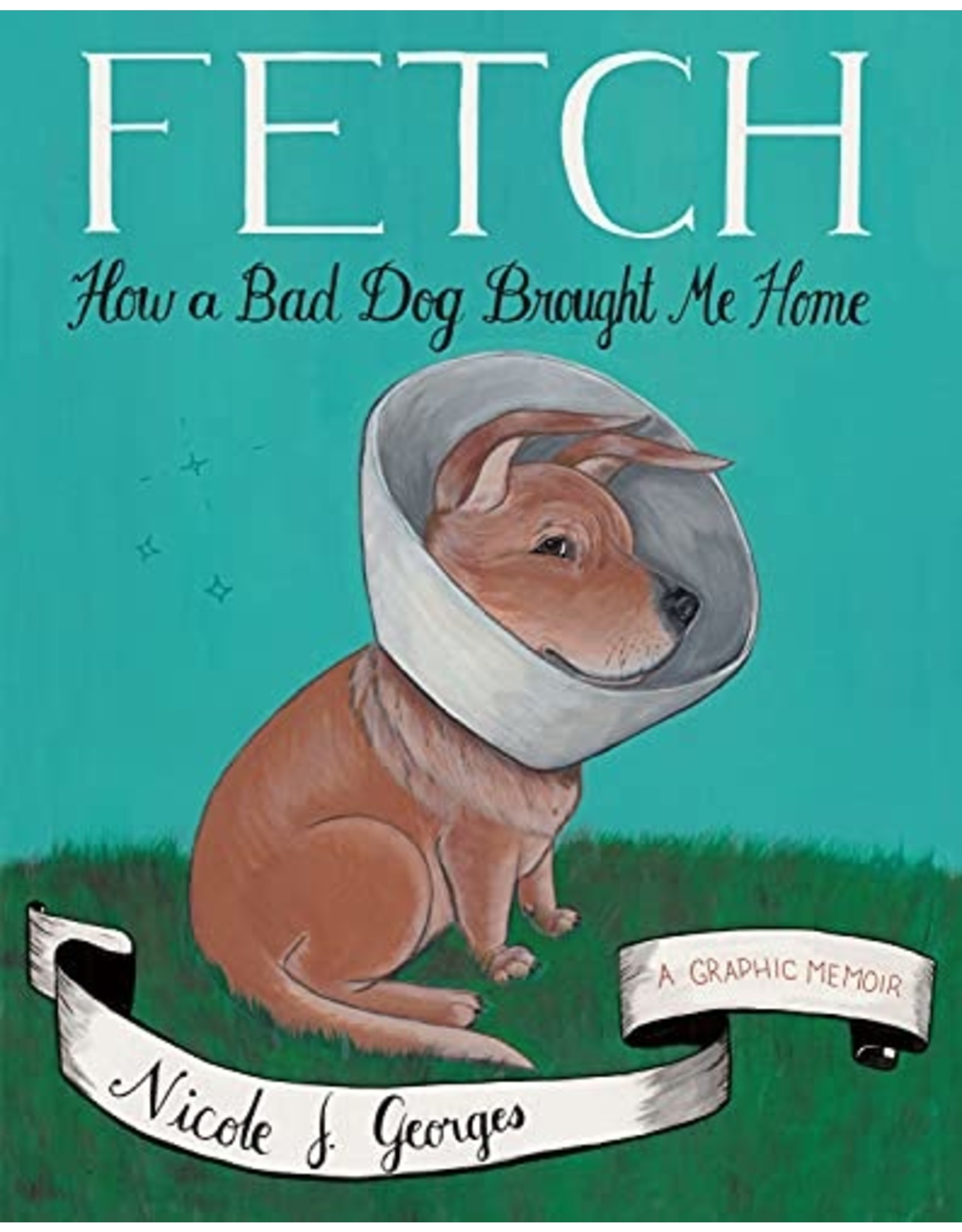 Literature Fetch: How a Bad Dog Brought Me Home