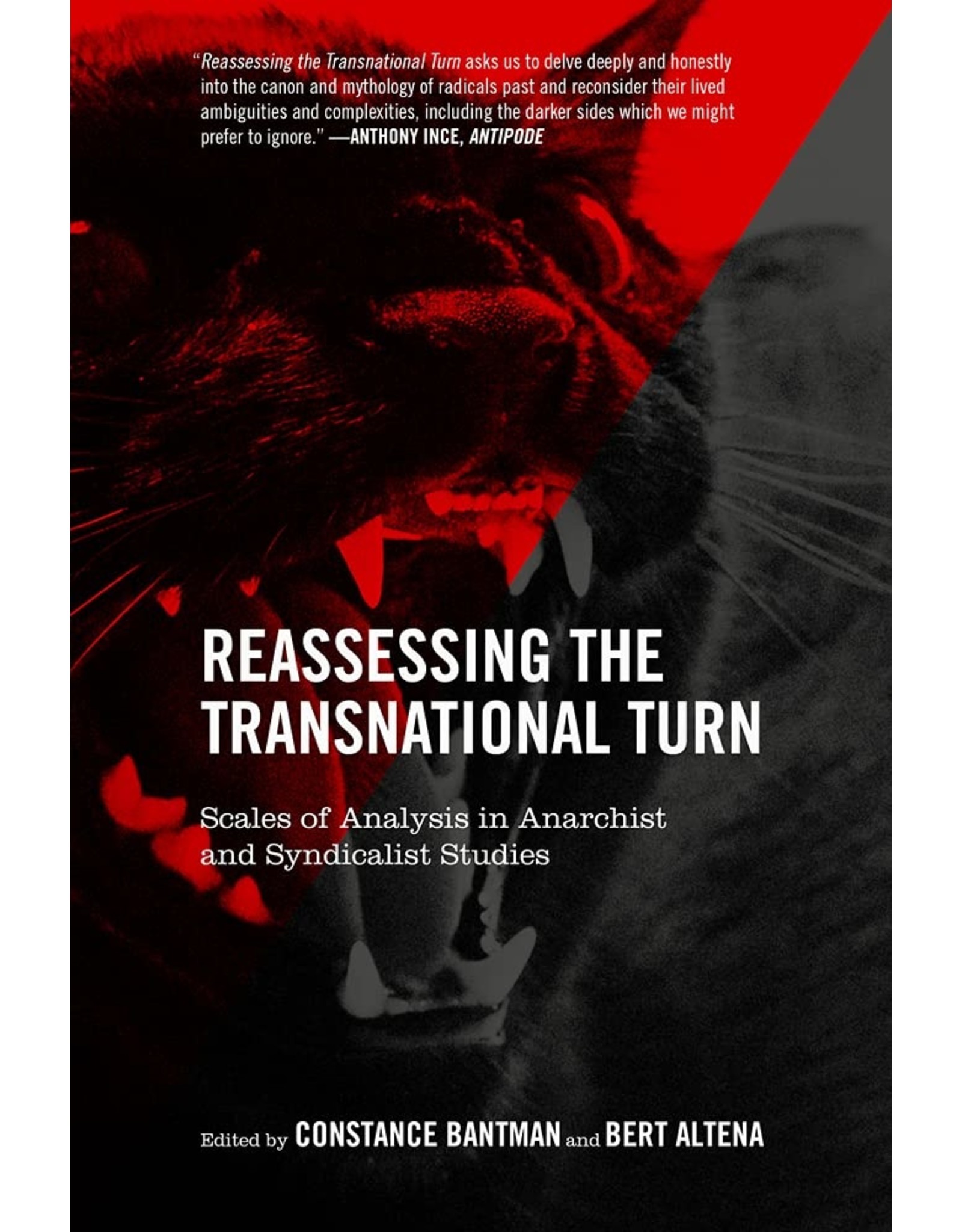Literature Reassessing the Transitional Turn