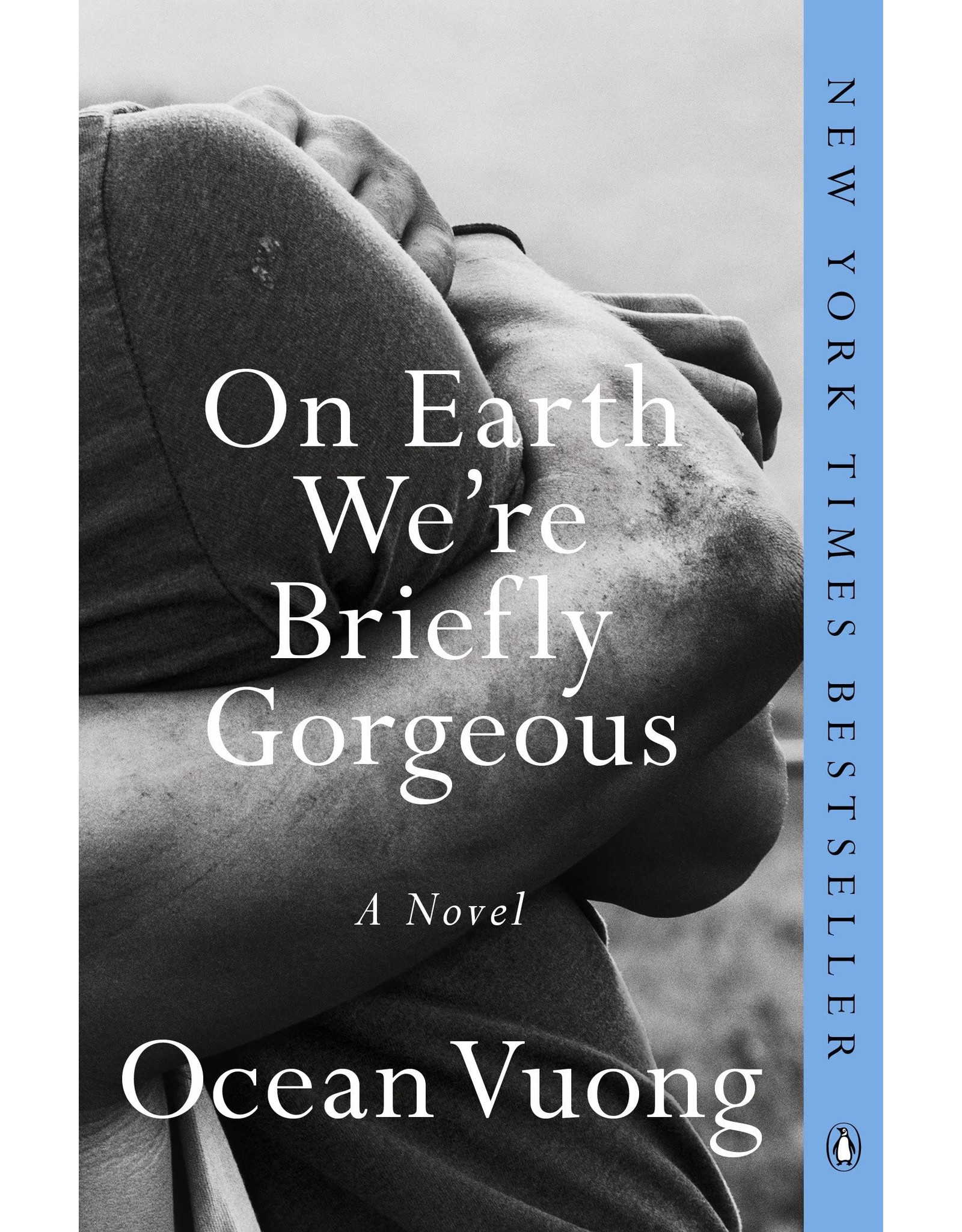 Literature On Earth We're Briefly Gorgeous (Paperback)