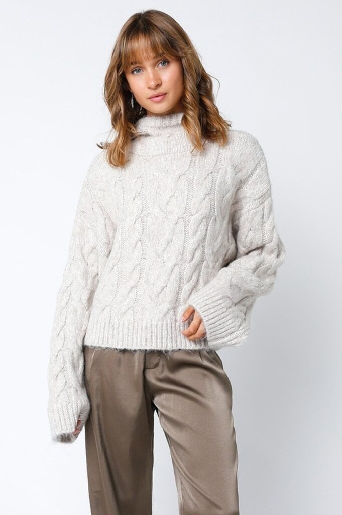 The Denim Bar Kay Hooded Sweater