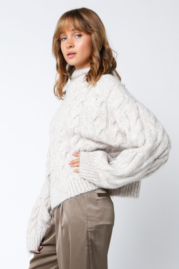 The Denim Bar Kay Hooded Sweater