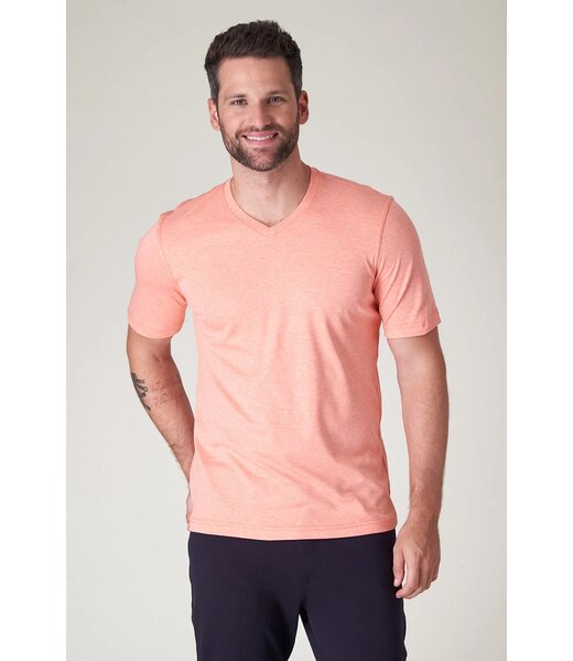 Raffi The Noah Sorbet