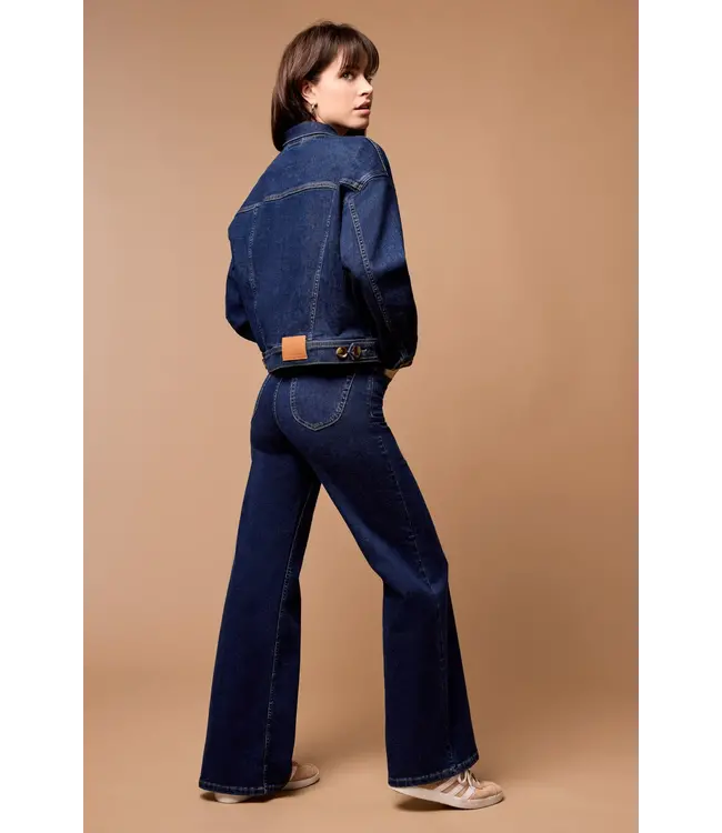 Tribal JEAN BROOKE PALAZZO TAILLE HAUTE À FIL BLEU 5604O / 2111 3132