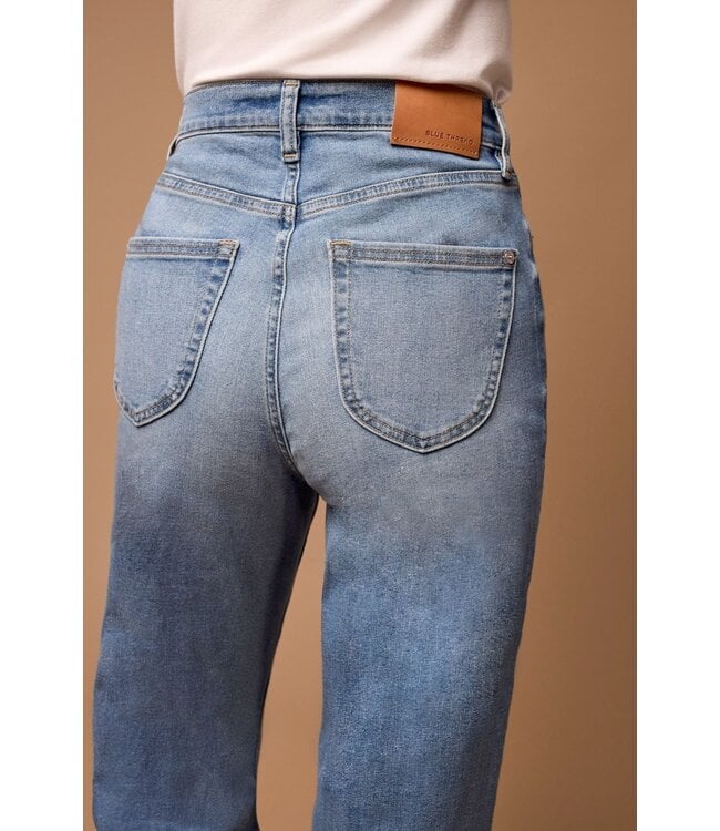 Tribal Brooke High Rise Palazzo Jean 5604O / 2111 3133