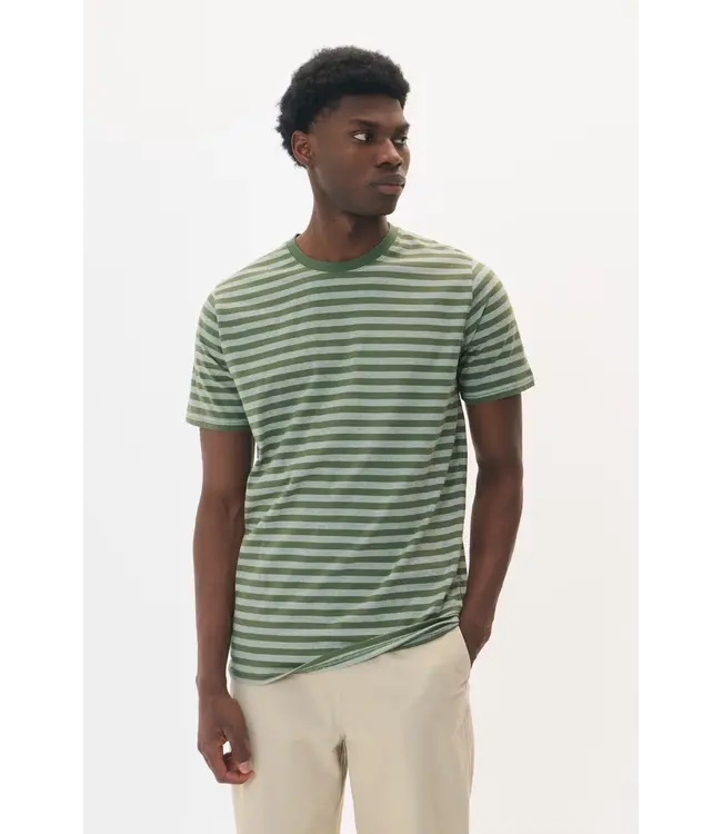 Matinique T-SHIRT MAjeramy