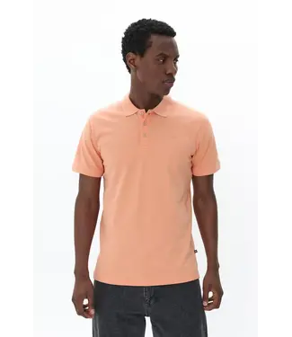Matinique POLO MApoleo