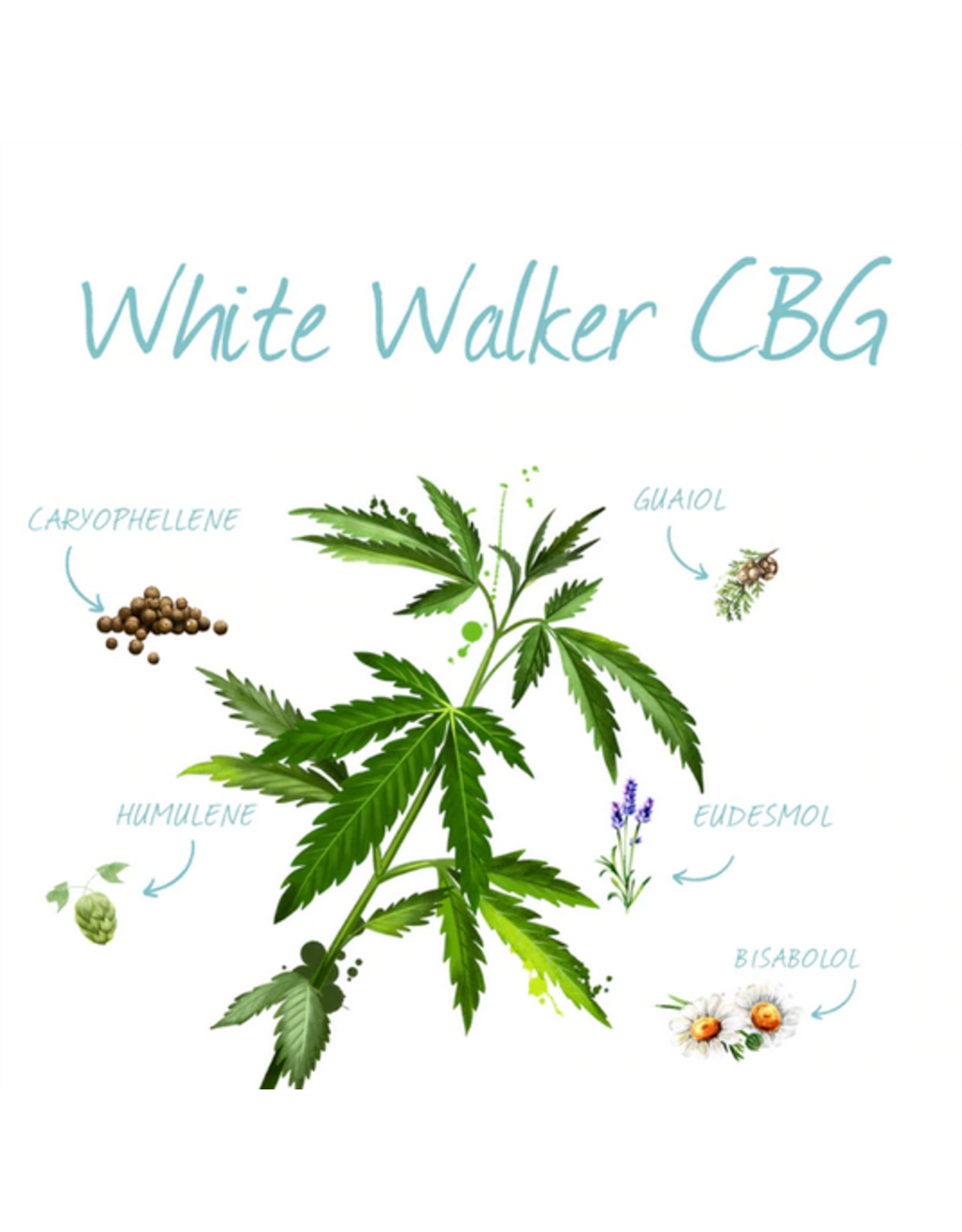 Pacific Crest Pac Crest Botanicals CBG White Walker Hybrid Pre Roll 2 x 0.75gr