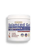Botanical Enlightenment Botanical Enlightenment Canine Health Balanced Gut Probiotic Powder for Dogs 2.1oz