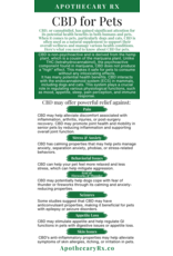 Apothecary Rx Apothecary Rx Full Spectrum CBD Bacon Flavored Elixir for Pets