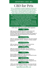 Apothecary Rx Apothecary Rx Full Spectrum CBD CBC CBG CBN Salmon Flavored RSO Elixir for Pets