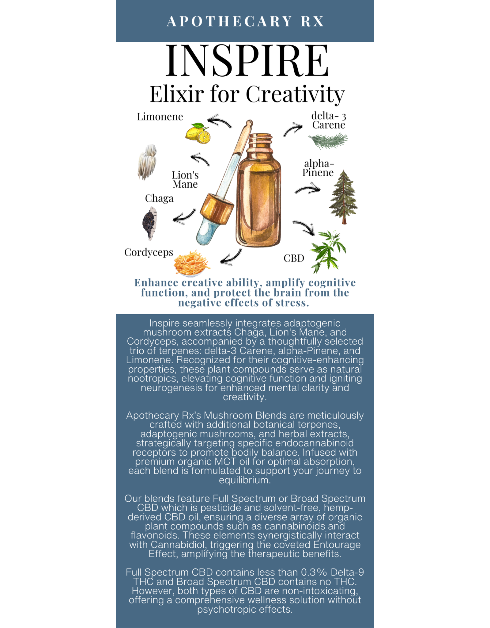Apothecary Rx Apothecary Rx INSPIRE Elixir for Creativity 30ml