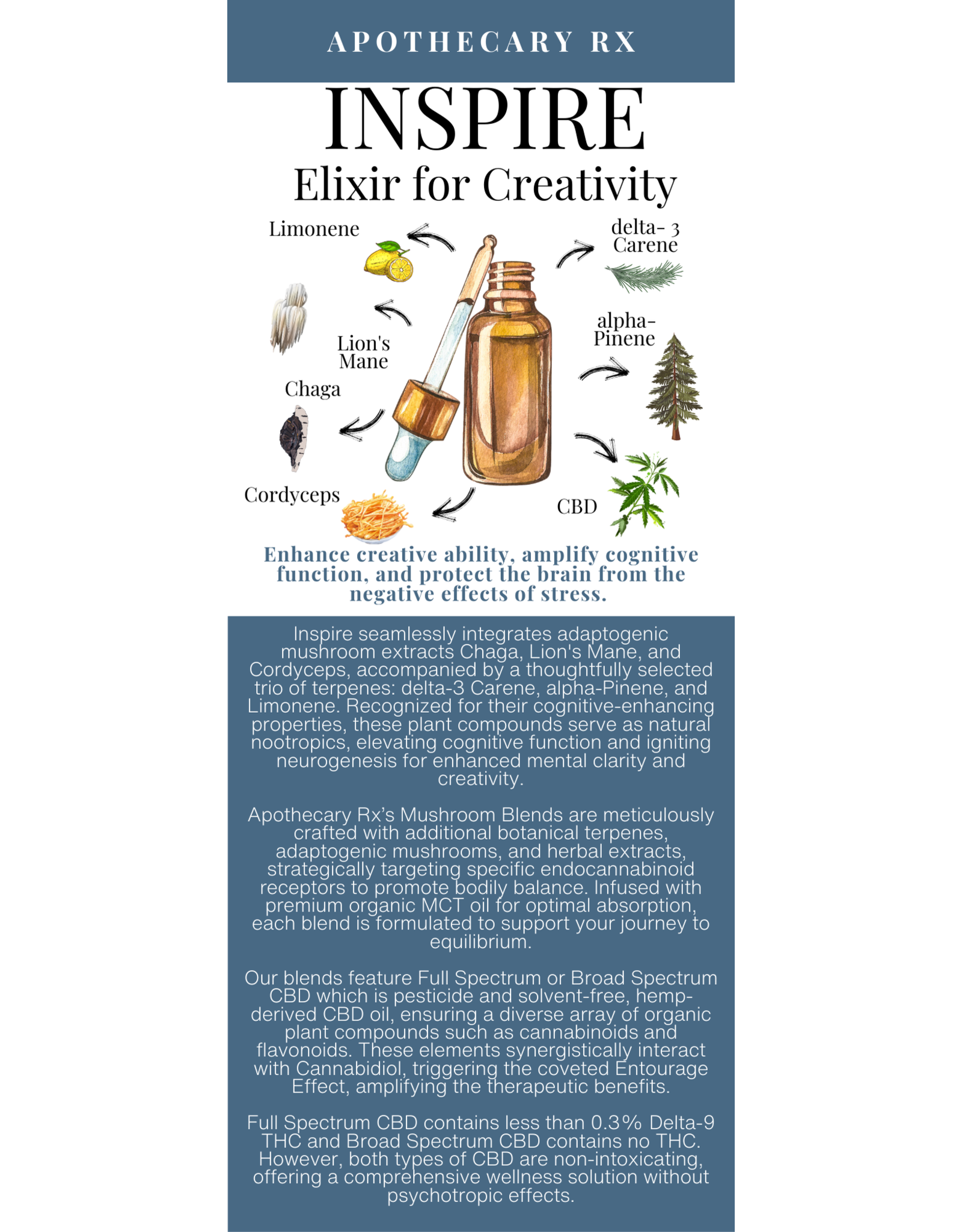 Apothecary Rx INSPIRE Elixir for Creativity 30ml