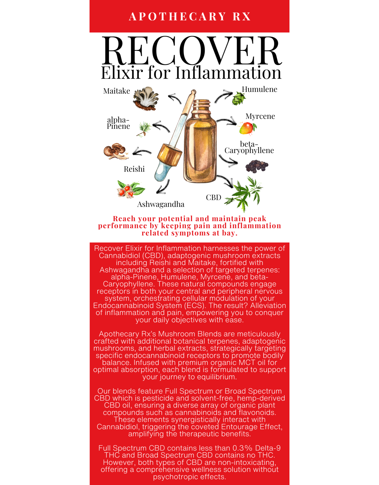 Apothecary Rx RECOVER Elixir for Inflammation 30ml