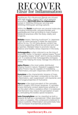 Apothecary Rx Apothecary Rx RECOVER Elixir for Inflammation 30ml