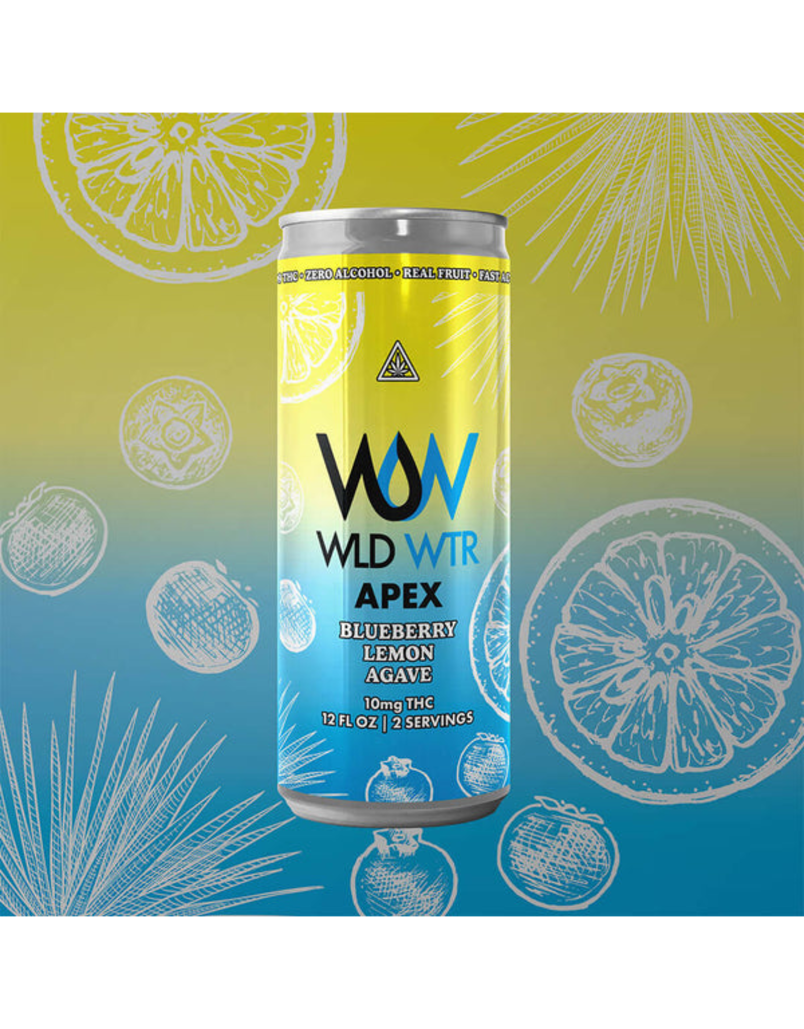 Wld Wtr WLD WTR 10mg Delta-9 Seltzer 12oz