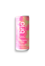 Brio Brio 10mg Delta-9 Seltzer 12floz Brio Brio 10mg Delta-9 Seltzer 12floz