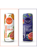 Wyld Wyld CBD Sparkling Water 12floz