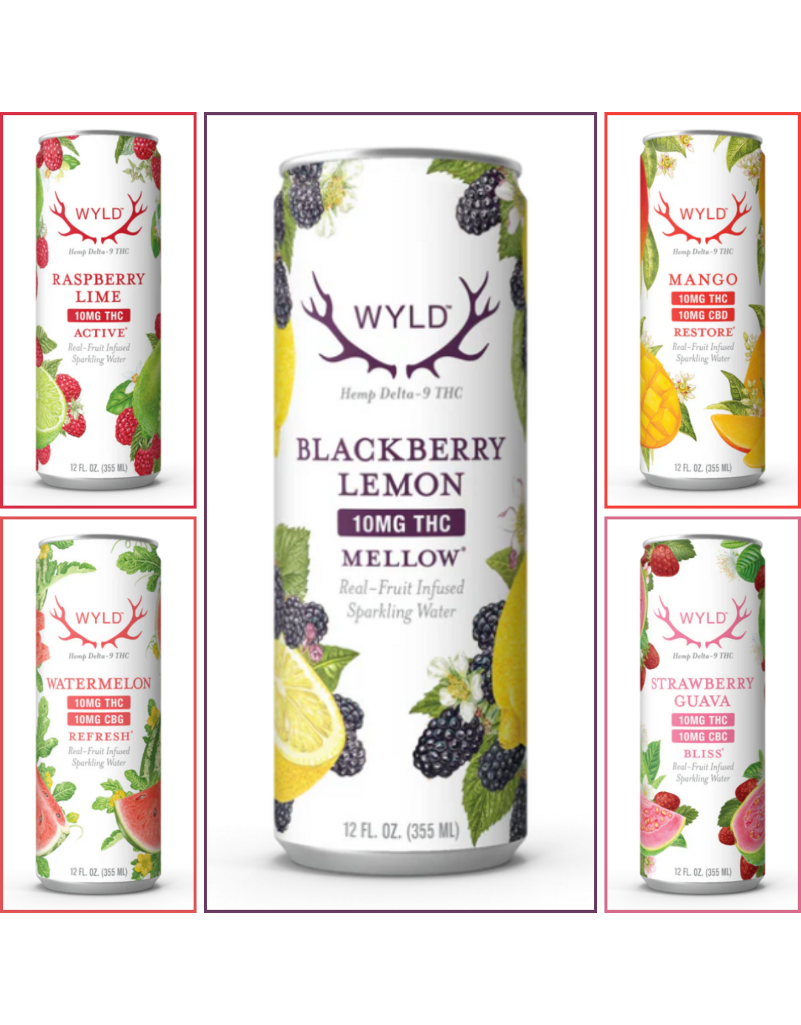 Wyld Wyld 10mg Delta-9 Sparkling Water 12floz