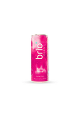 Brio 10mg Delta-9 Seltzer 12floz