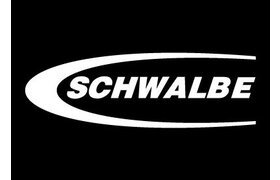 SCHWALBE