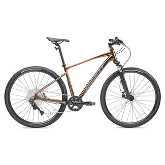 Giant Giant Roam 2 Disc Sm Hematite