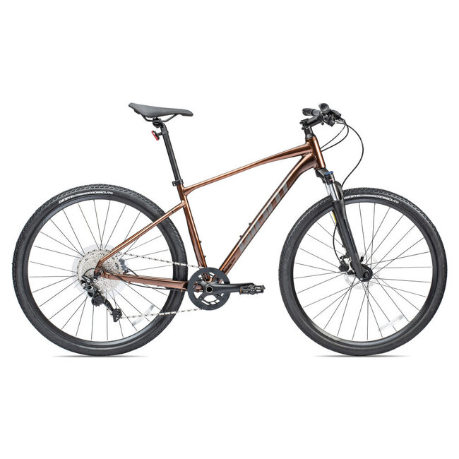 Giant Giant Roam 2 Disc Sm Hematite