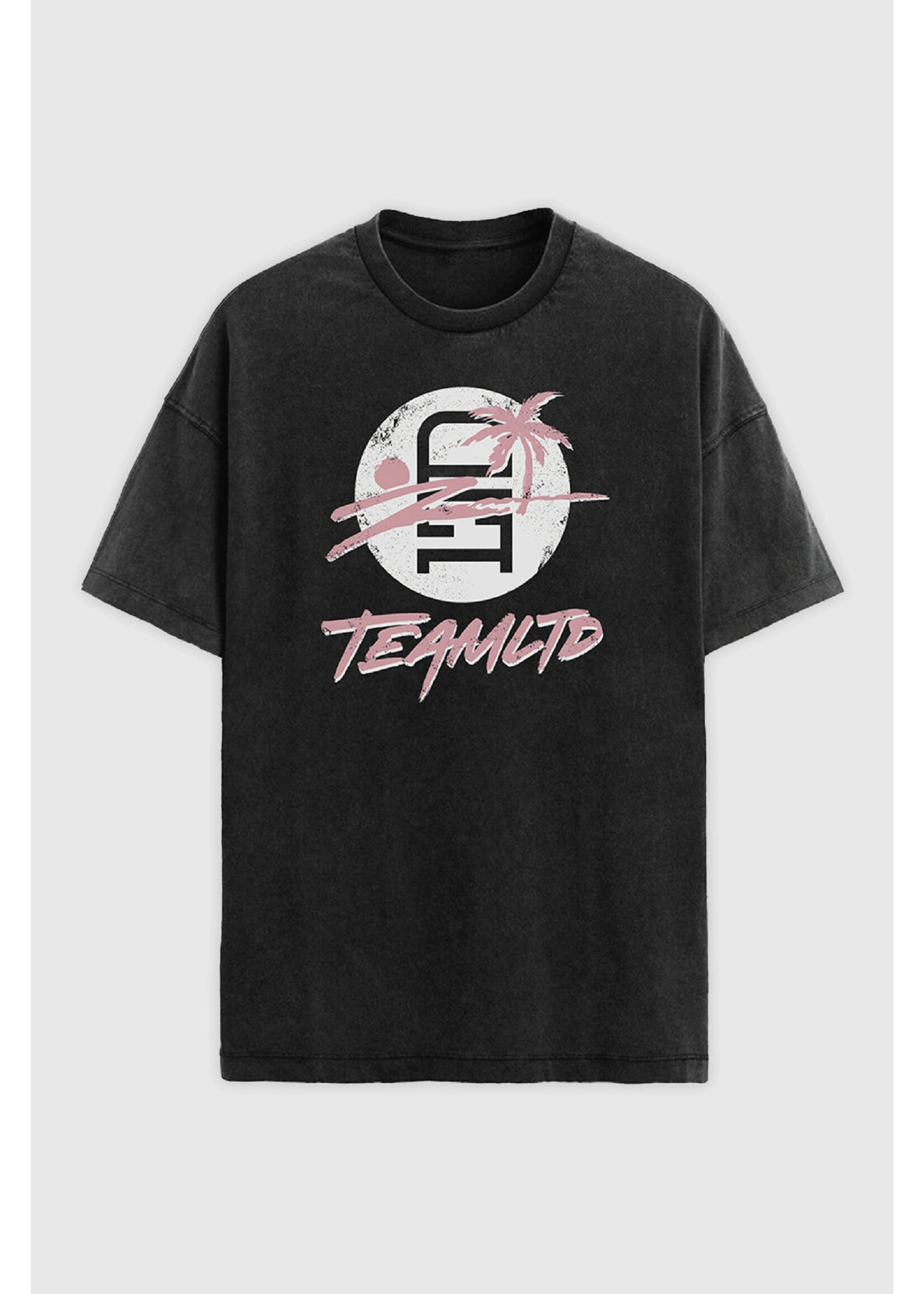 TEAMLTD LOGO PALM TEE SM25