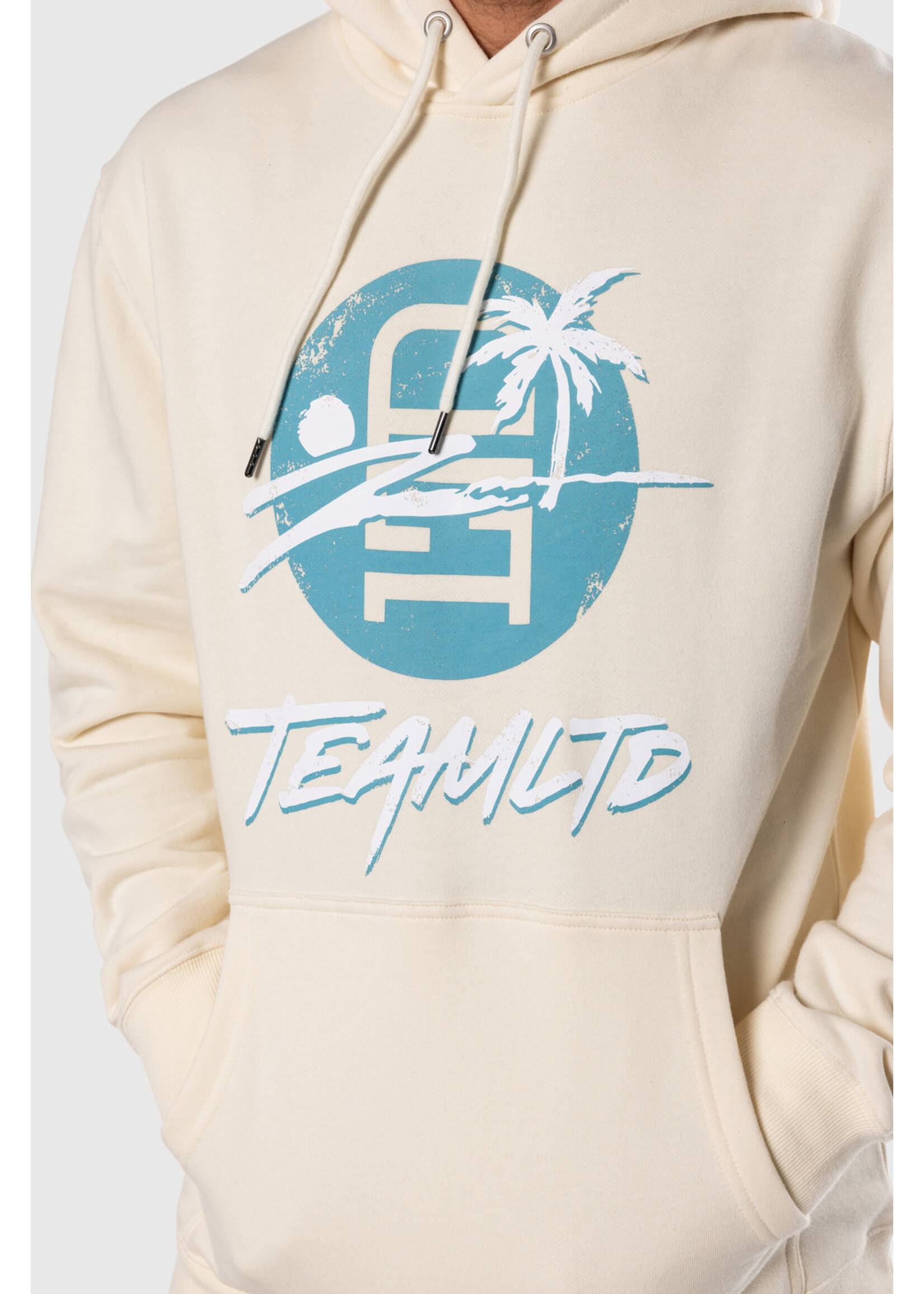 TEAMLTD LOGO PALM HOODIE SM25