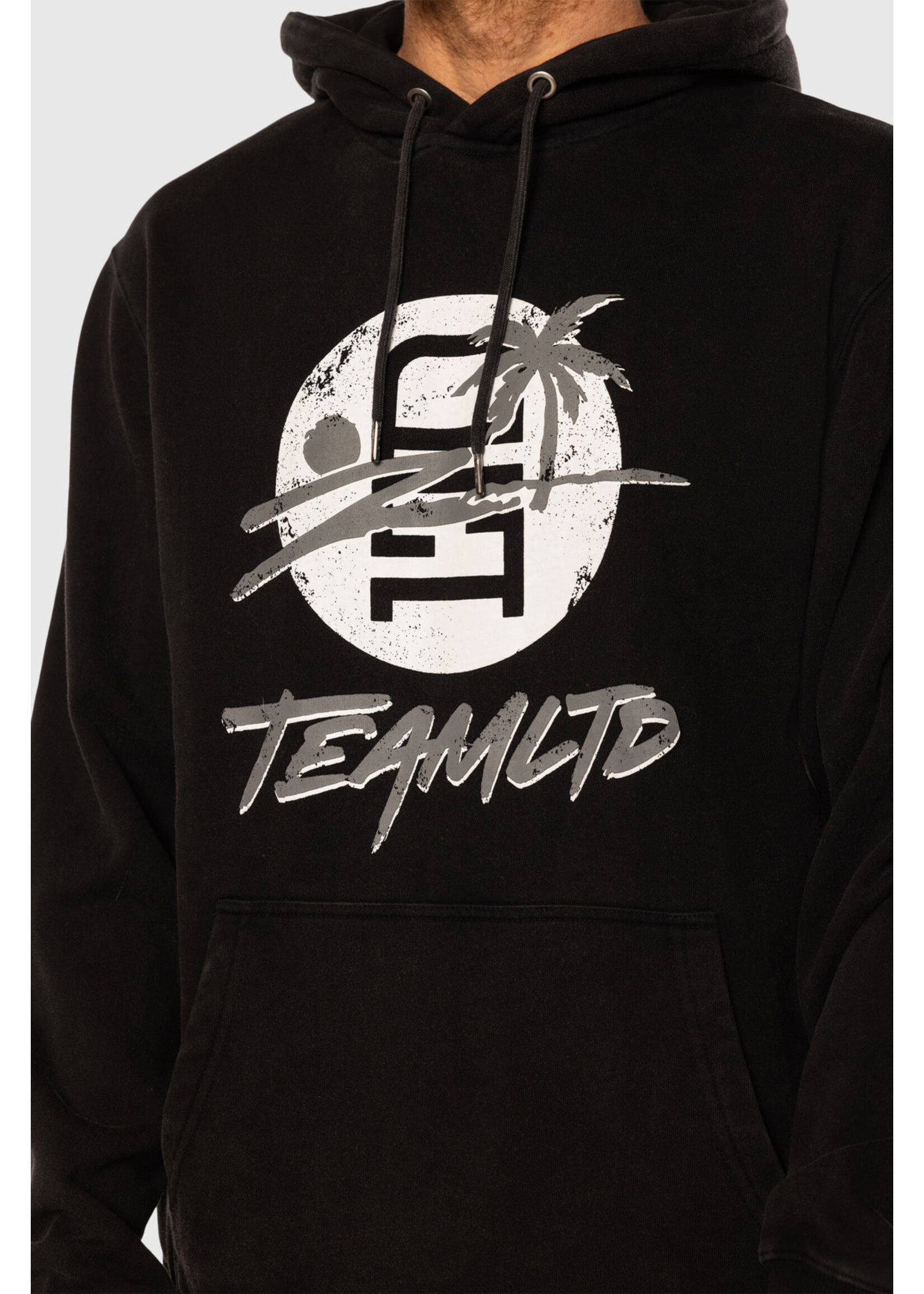 TEAMLTD LOGO PALM HOODIE SM25