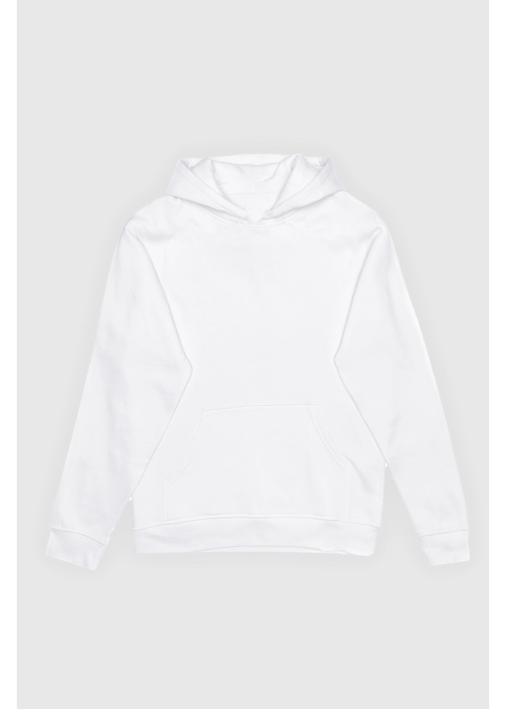 TEAMLTD OVERSIZED HOODIE SM25