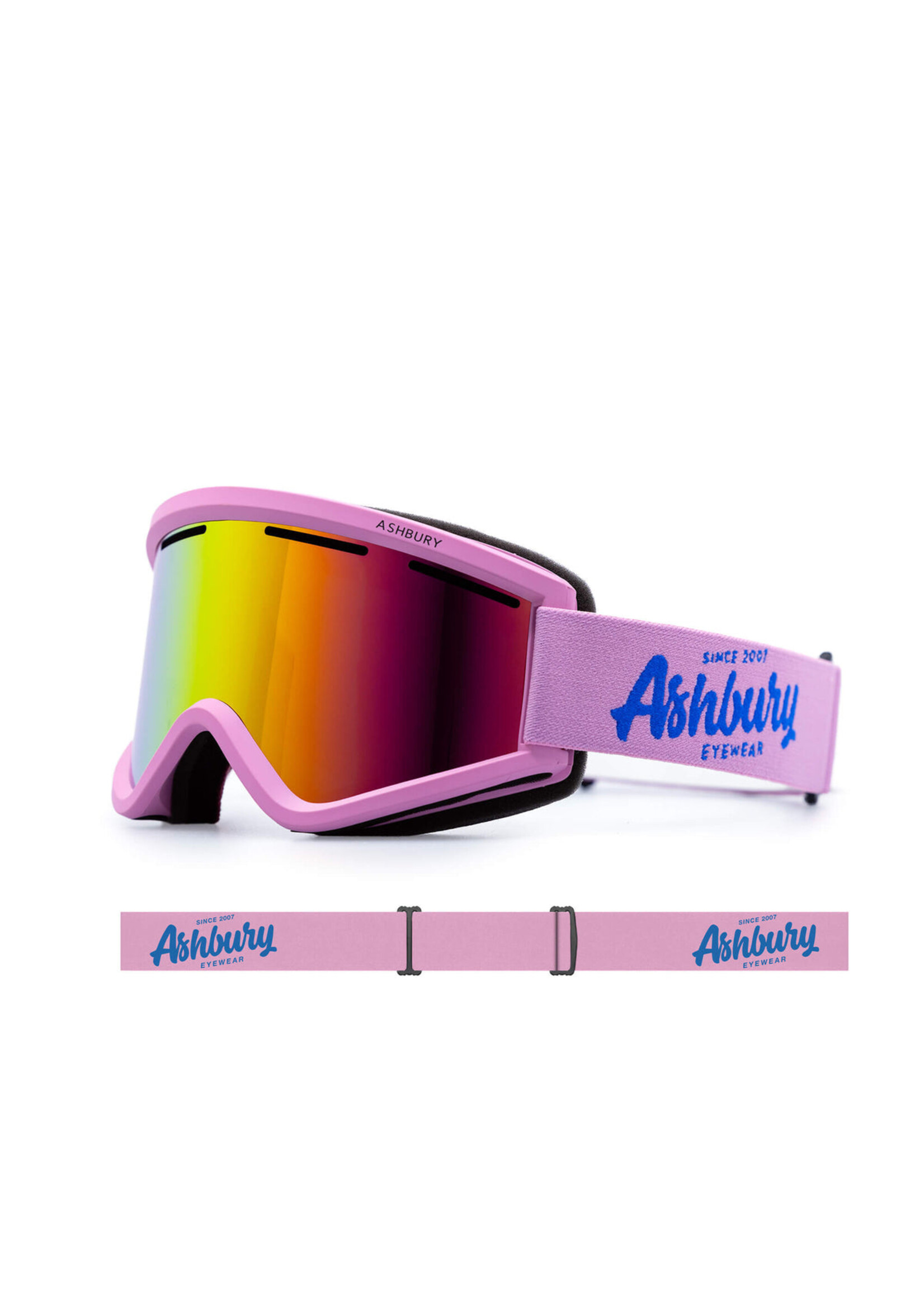 ASHBURY BLACKBIRD GOGGLE W25