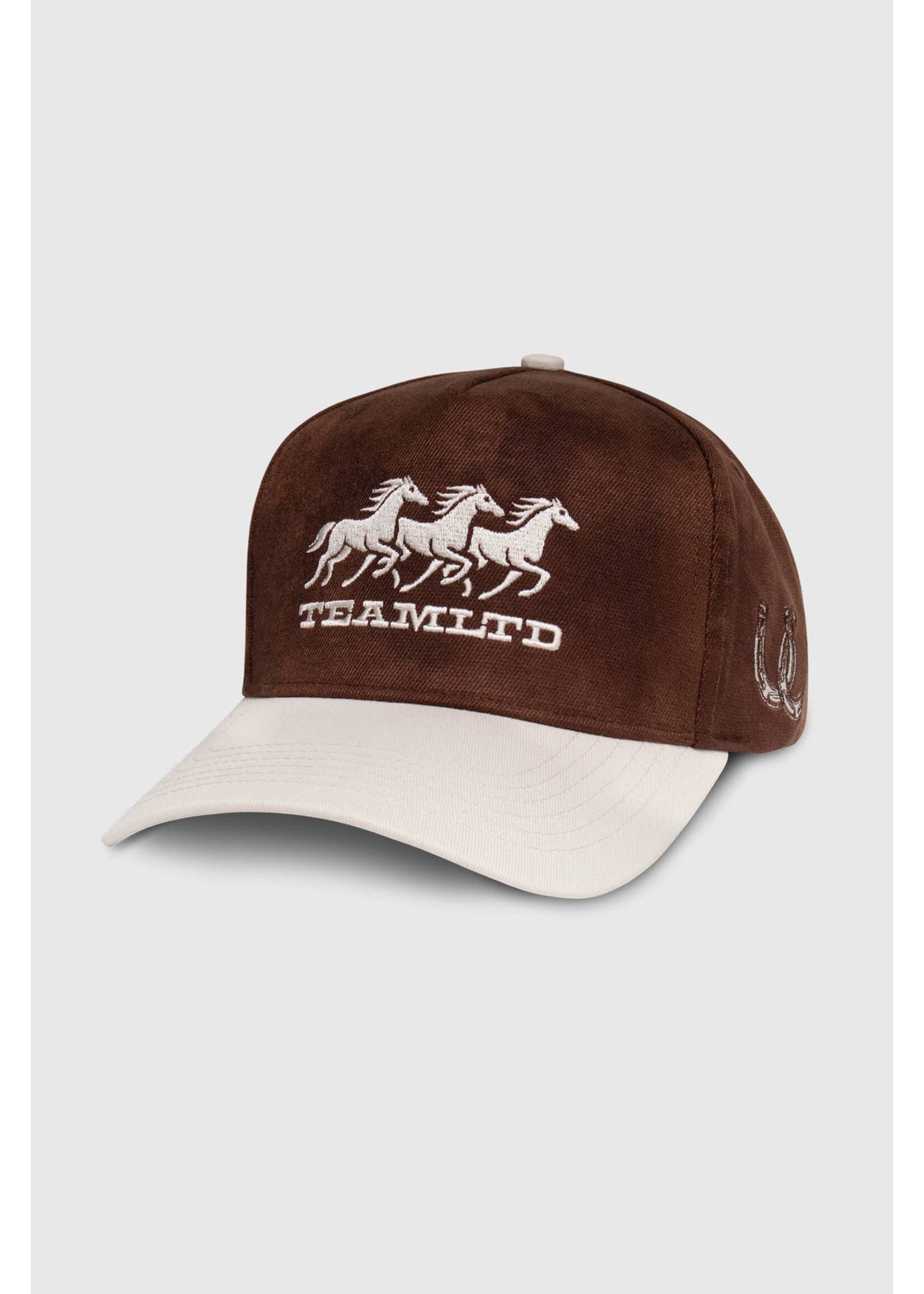 TEAMLTD RANCH SNAPBACK W25