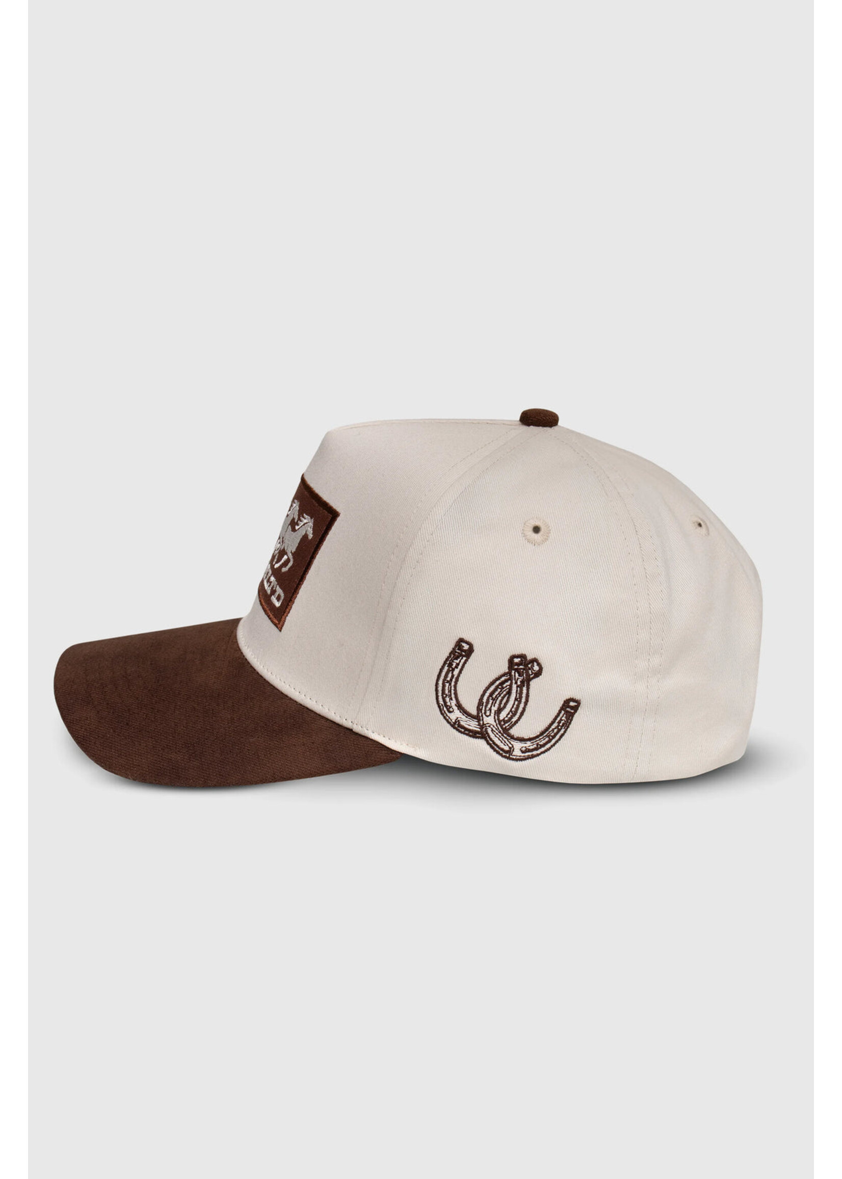 TEAMLTD RANCH SNAPBACK W25