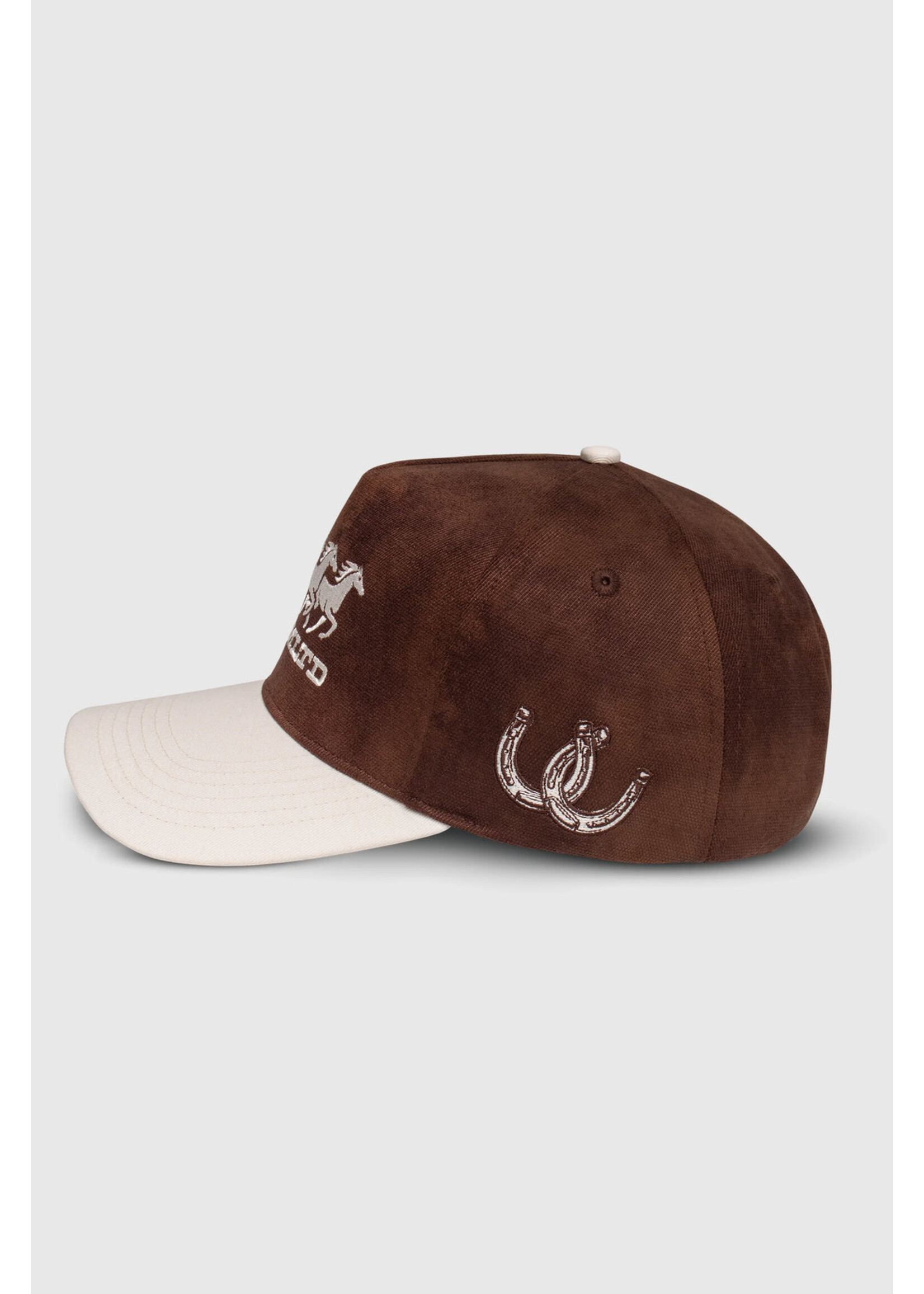 TEAMLTD RANCH SNAPBACK W25