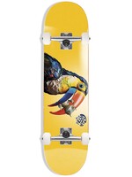 PUSH TOUCAN SOFT TOP 7.25 SM26