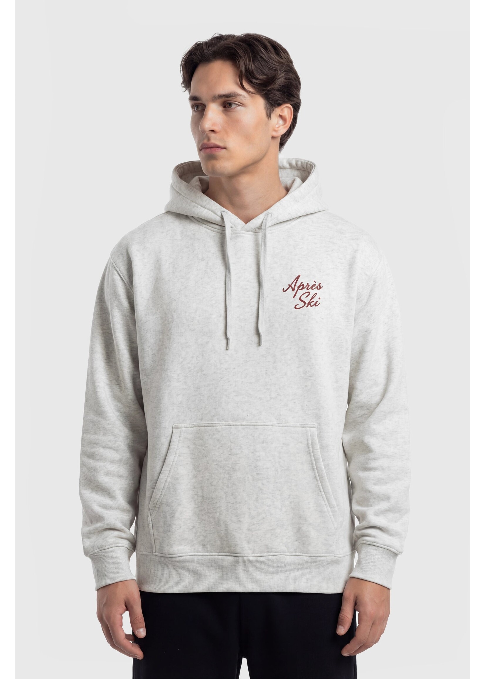TEAMLTD APRS SKI HOODIE F26