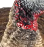 Avian X Avian X Breeder Turkey Decoy