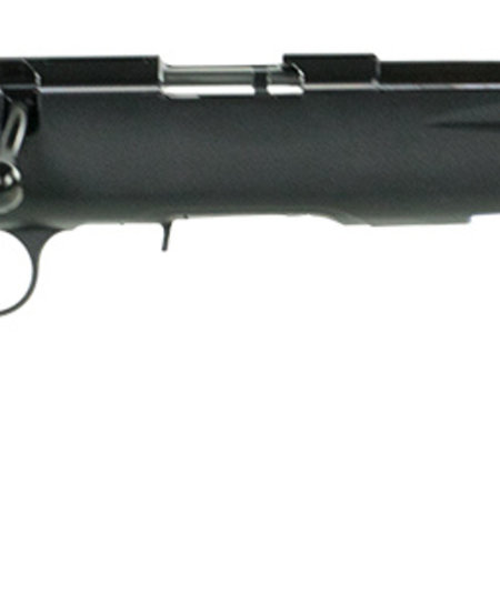 Ruger American Rimfire Standard 17 HMR 9+1 18" TB Black