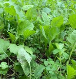 Domain Domain, Sugar Momma, Food Plot Mix