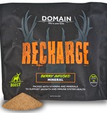 Domain Domain, Recharge Deer Mineral