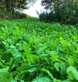 Domain Domain, No BS, Food Plot Mix, 1 acre